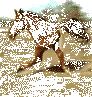 Аватар для Конь